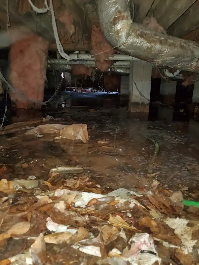 Crawl space flood assessment for Commercial Water Damage Restoration in Missouri City