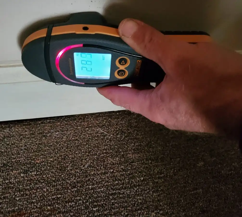 Moisture detection at baseboard during Sewage Cleanup & Sanitation in Missouri City